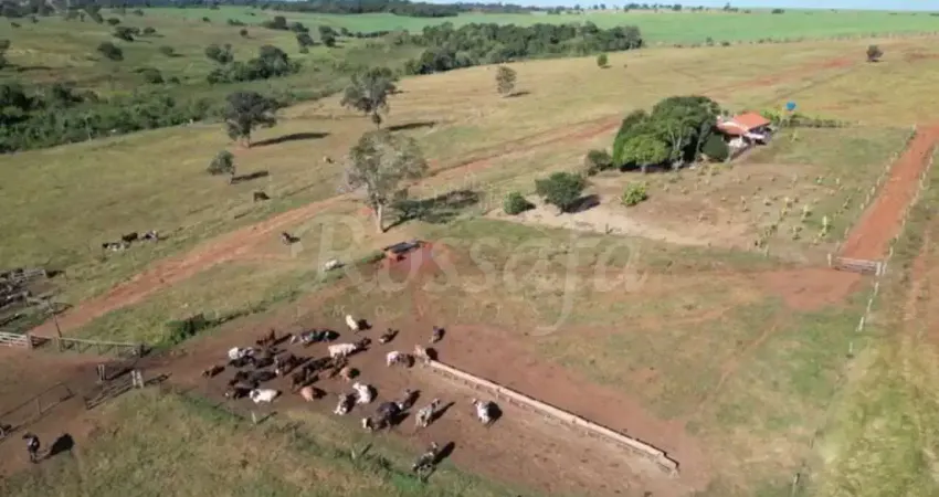 Fazenda à venda no Centro, Aparecida do Taboado 