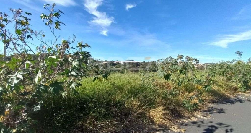 Venda de Terreno / Lote na cidade de São Carlos