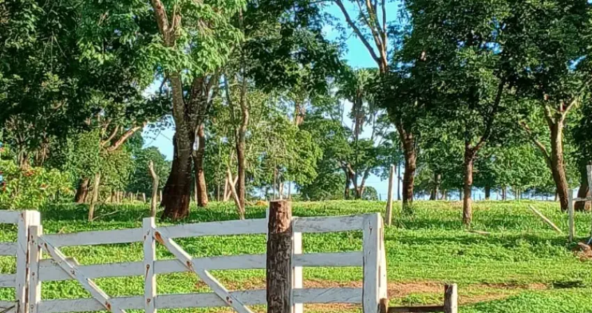 Chácara toda plana a apenas 02 km da Cidade de Corumbá de Goias