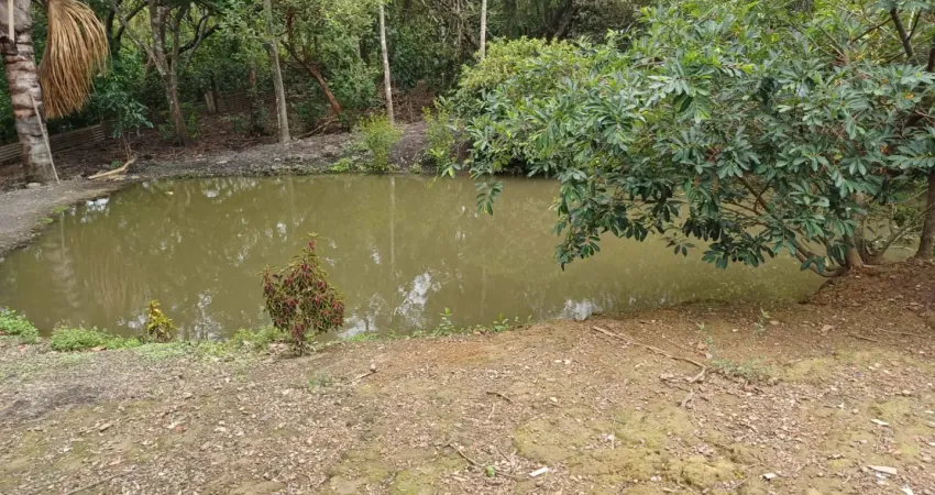 Vendo Chacara de 5000 metros quadrados em Joanapolis pego somente carro no negocio