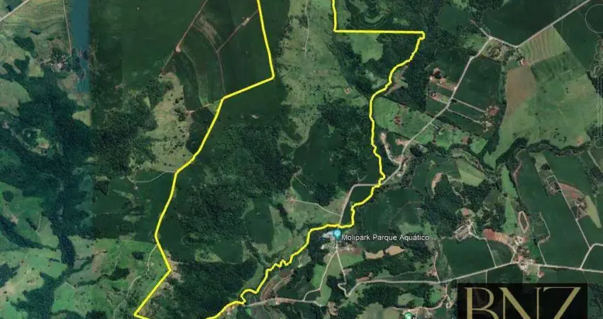 Fazenda à Venda em Sabáudia-PR, próximo ao Molipark