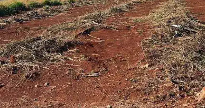 Terreno à venda no Jardim Paulista II, Arapongas 
