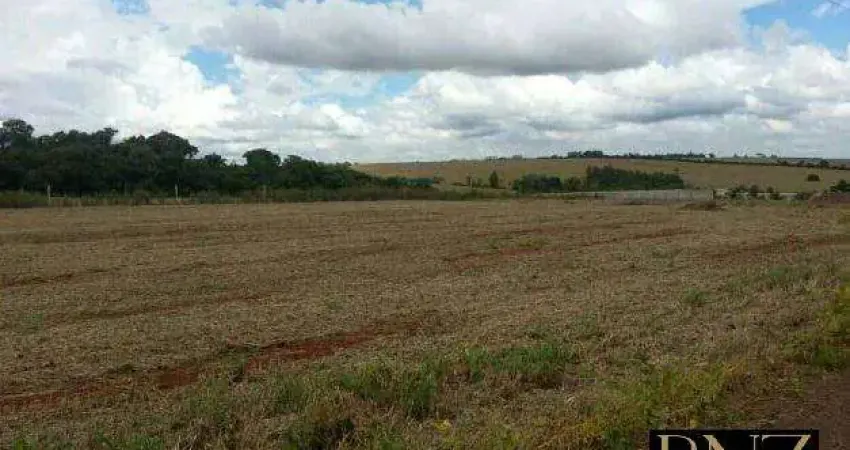 Terreno à venda no Residencial São Francisco, Arapongas 