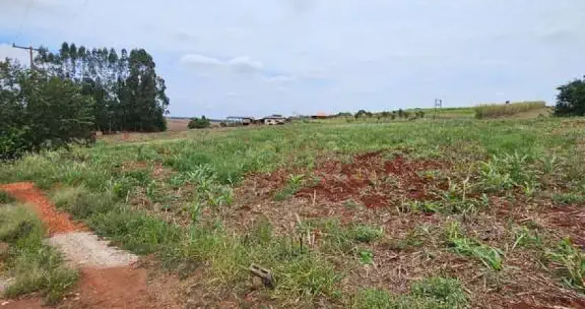 Chácara / sítio à venda na Estrada São Domingos, Jardim São Domingos, Maringá