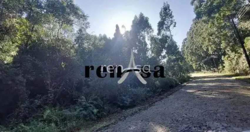 Terreno à venda no Desvio Rizzo, Caxias do Sul 