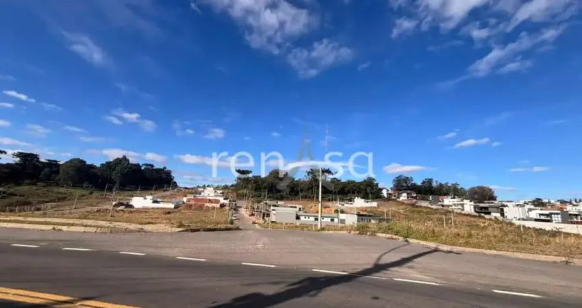 Terreno, Nossa Senhora da Saúde, Caxias do Sul - 8196