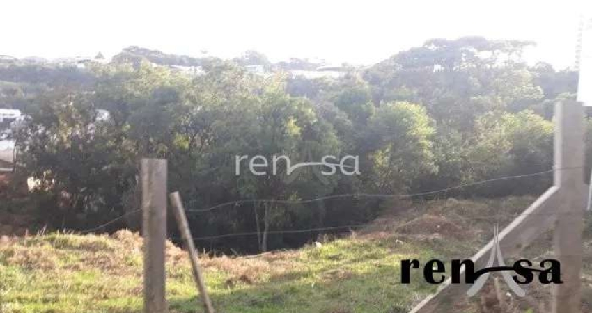 Terreno para Venda, Vila Horn, Caxias do Sul - 7462