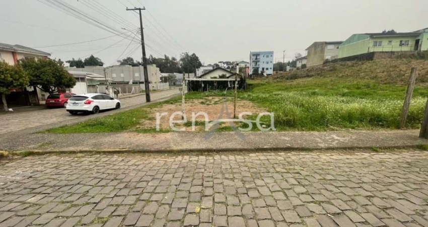 Terreno para venda,  Forqueta, Caxias Do Sul - TE8642