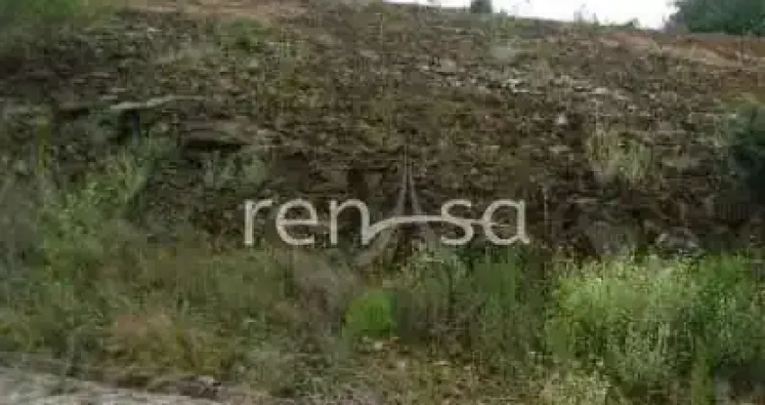 Terreno para venda,  Ana Rech, Caxias Do Sul - TE8696