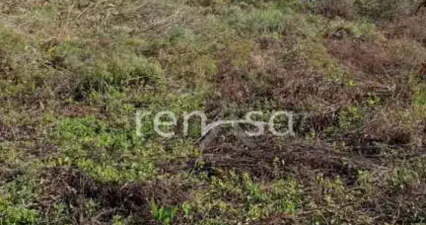 Terreno à venda no Monte Bérico, Caxias do Sul 
