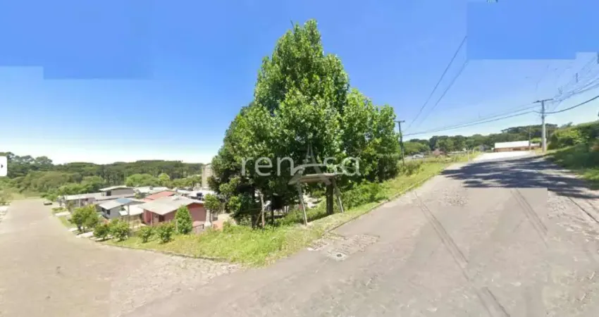 Terreno avenida para venda,  jardim iracema, caxias do sul - te8912