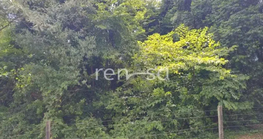 Terreno à venda no Panazzolo, Caxias do Sul