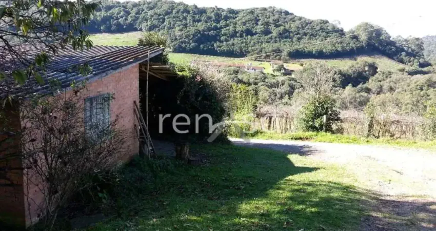 Chácara / sítio com 1 quarto à venda em Loreto, Caxias do Sul