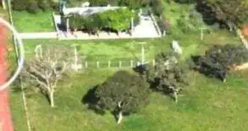 Chácara / sítio com 4 quartos à venda na Rua Bom Jardim, Novo Mato Grosso, Cuiabá