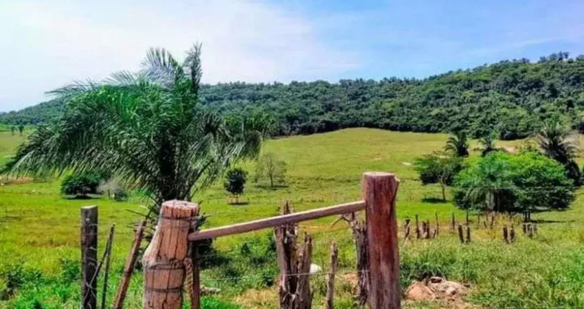 Chácara / sítio com 5 quartos à venda no Centro, Jaciara