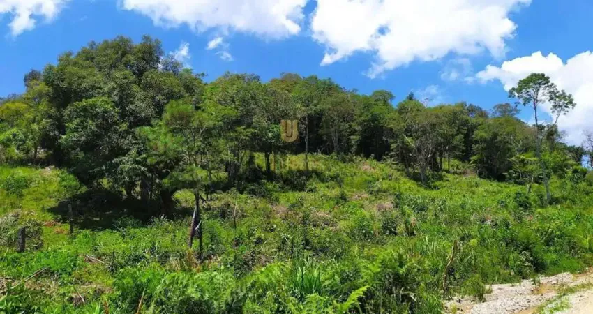 CHÁCARA COM ÁGUA PRÓXIMA A BR 376