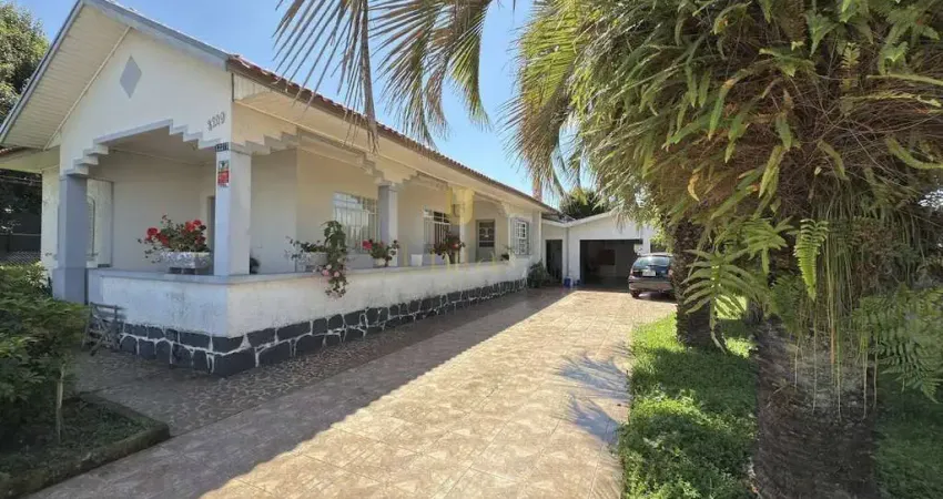 Terreno comercial em localização estratégica próximo ao Centro de São José dos Pinhais