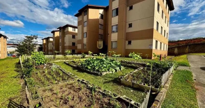 Apartamento com 2 quartos para alugar na Rua Pedro Plantes dos Anjos, 200, Santo Antônio, São José dos Pinhais