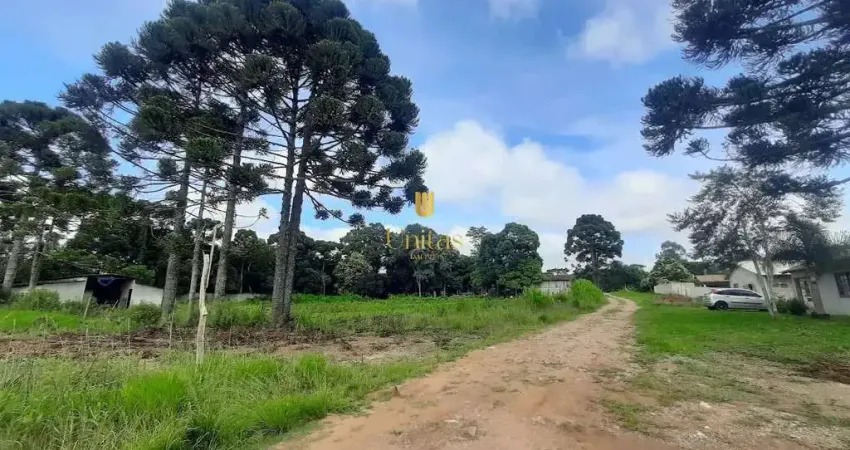 Terreno à venda na do Botiatuva, 91, Águas Claras, Piraquara