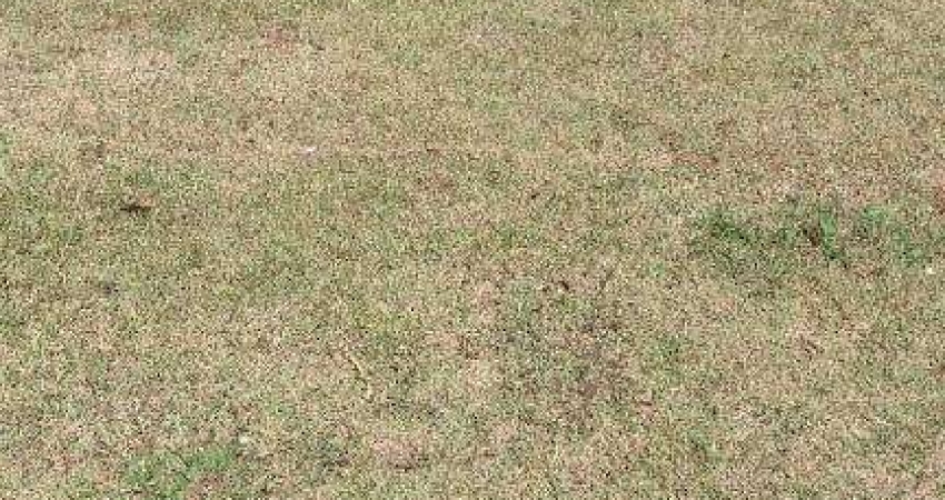 Terreno à venda - Bonfim Paulista - Ribeirão Preto/SP
