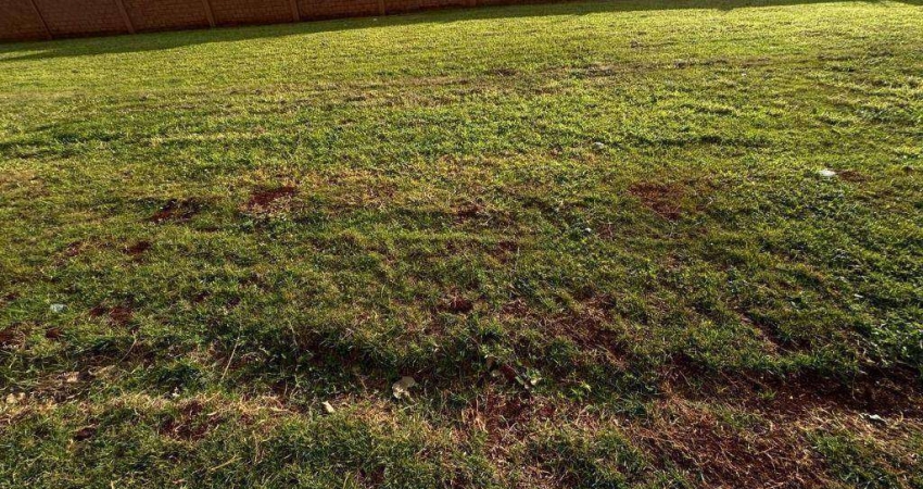 Terreno à venda, 250 m² por R$ 490.000,00 - Alphaville - Ribeirão Preto/SP