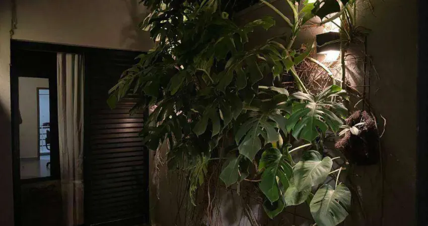 Casa para alugar, 150 m² por r$ 8.695,00/mês - san marcos - ribeirão preto/sp