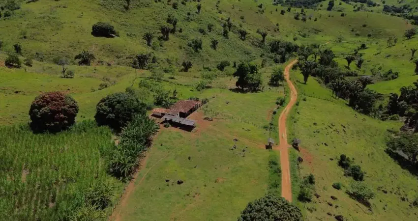 Rural - Fazenda, para Venda em Ibicuí/BA