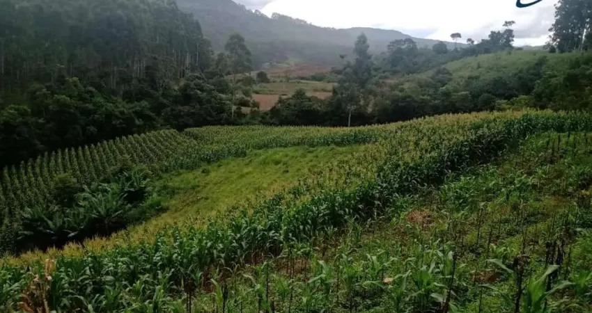Chácara / sítio à venda no Centro, Presidente Nereu