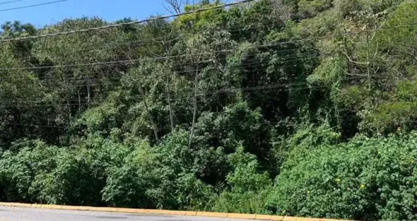 Terreno à venda em Enseada Encantada, Porto Belo