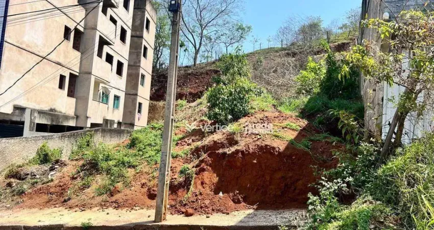 Terreno à venda, 380 m² por R$ 170.000,00 - Fontesville II - Juiz de Fora/MG