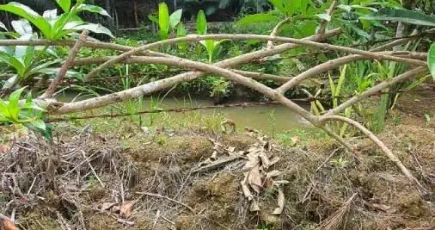 Chácara / sítio à venda na Zona Rural, Schroeder