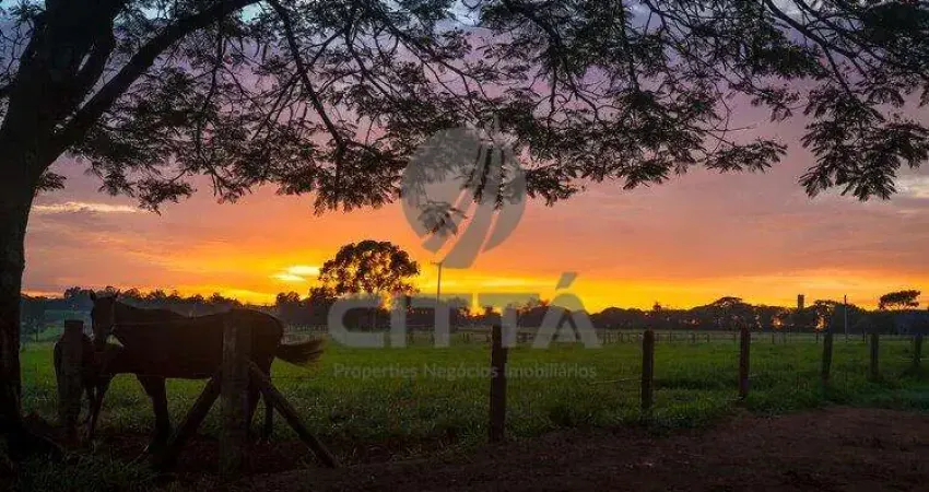 Terreno em condomínio fechado à venda na Avenida Haras Patente, Residencial Haras Patente, Jaguariúna