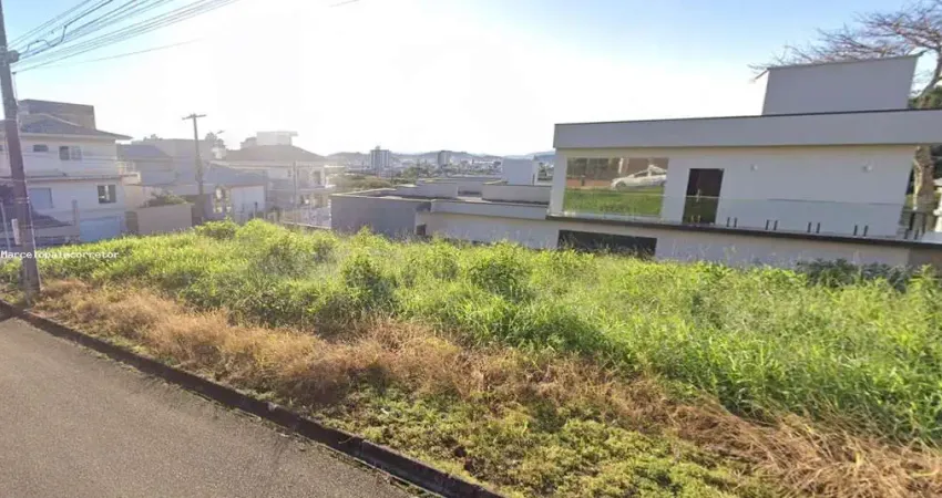 Terreno à venda na Rua das Figueiras, 200, Pedra Branca, Palhoça