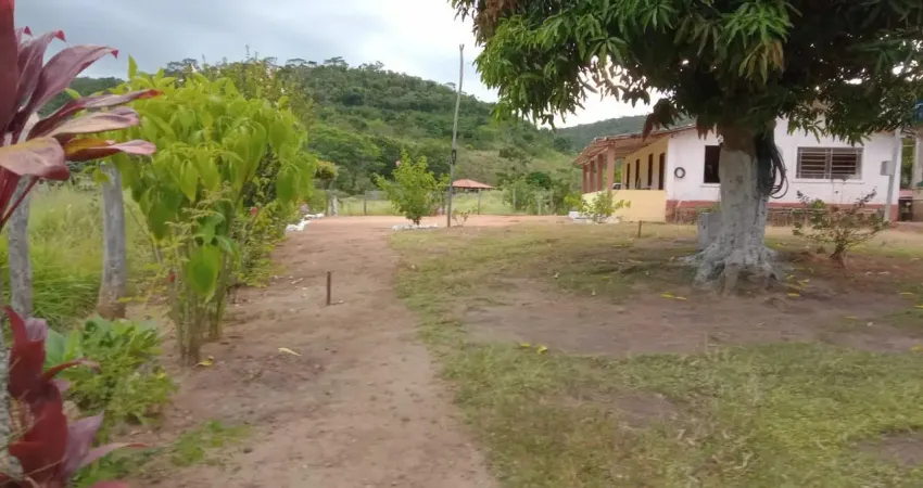 Fazenda com 1 sala à venda na Rua Bias Fortes, SN, Zona Rural, Almenara
