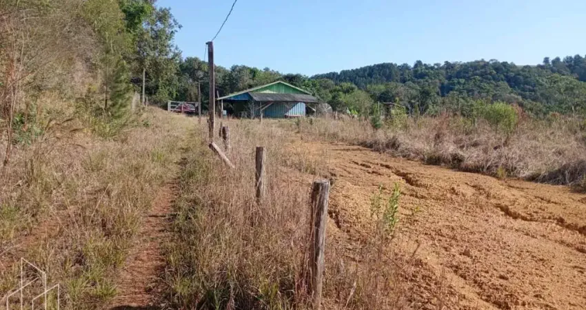 Chácara / sítio à venda no Alto do Amparo, Tibagi