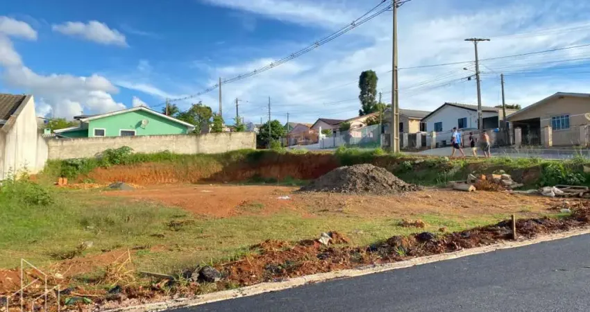 Terreno à venda no Piriquitos, Ponta Grossa