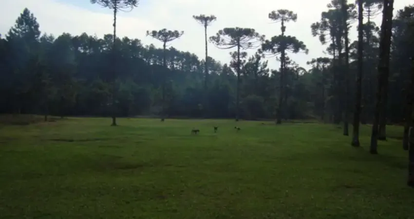 Chácara / sítio com 8 quartos à venda na Avenida Sesefredo Clein Doll, --, Vila Sol Nascente, Embu-Guaçu