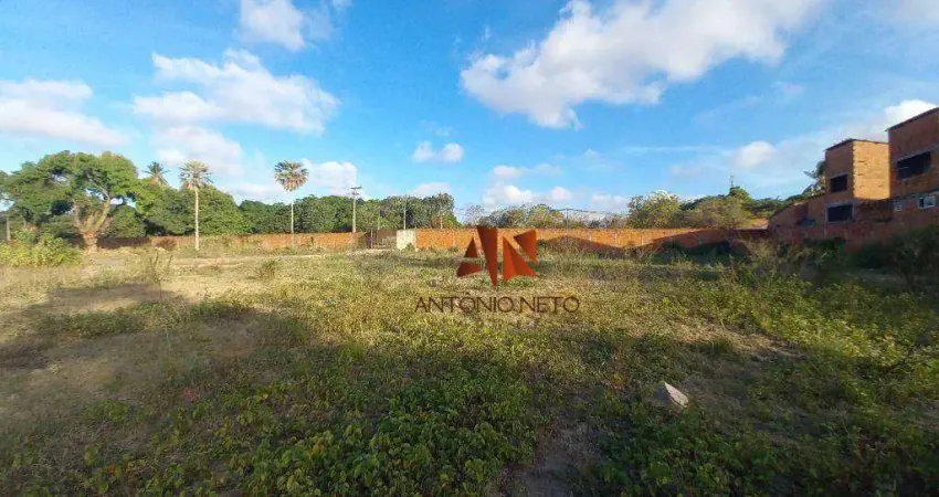 Terreno à venda, 15195 m² por r$ 3.950.000,00 - ancuri - fortaleza/ce