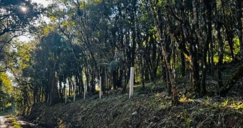 Chácara / sítio à venda na Rua Maria de Lourdes, 000000, Vossoroca, Tijucas do Sul