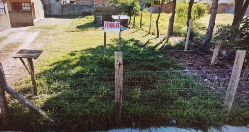 Terreno para Venda em Florianópolis, São João do Rio Vermelho
