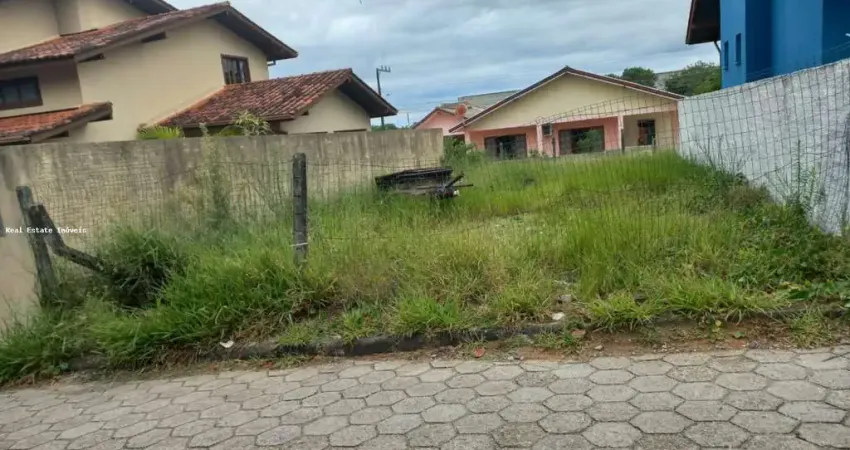 Terreno para Venda em Florianópolis, São João do Rio Vermelho