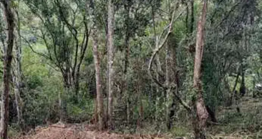 Terreno à venda no Vargem Grande, Florianópolis 