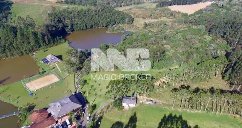 Terreno à venda na Rodovia Gilberto Palu, 6, Colônia Matos, Mandirituba