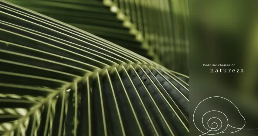 Casa em Condomínio a Beira mar de São Miguel dos Milagres com 5 suítes 470 mts de area total