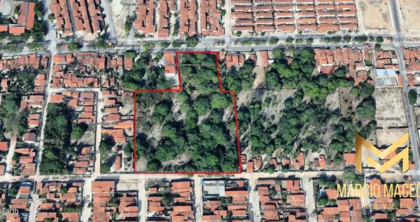 Terreno à venda, 19600 m² por r$ 9.800.000,00 - aracapé - fortaleza/ce