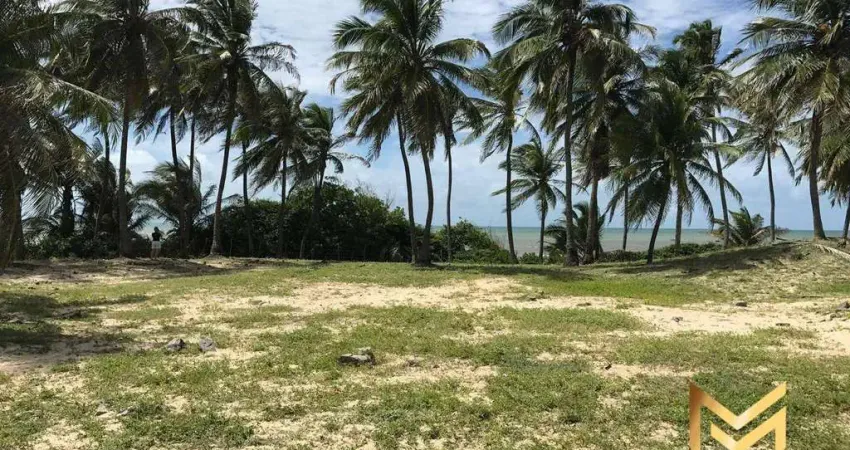 Terreno à venda, 29138 m² por r$ 15.900.000 - praia da baleia - itapipoca/ce