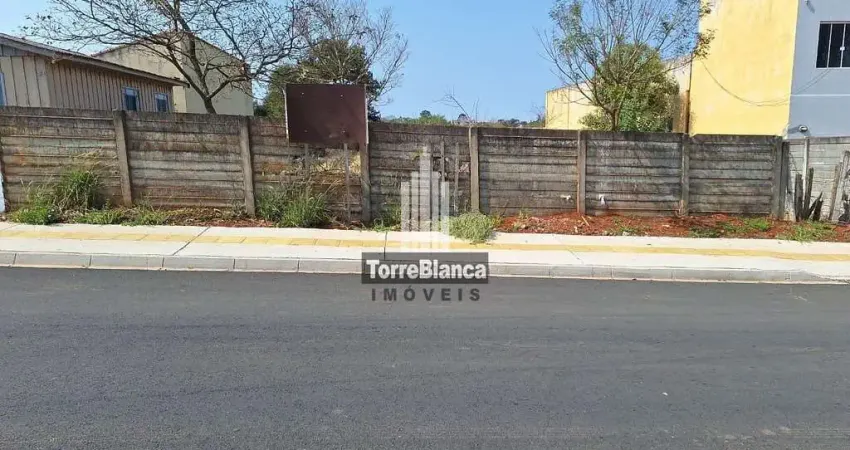 Terreno à venda na Rua Vieira Fazenda, Uvaranas, Ponta Grossa
