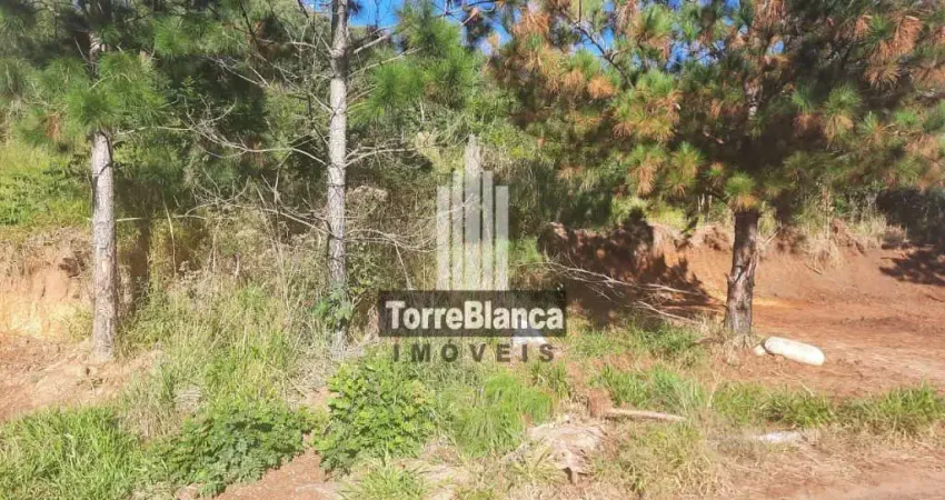 Terreno à venda – excelente oportunidade para investir ou construir