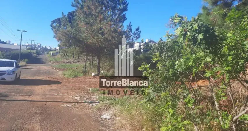 Terreno à venda – excelente oportunidade para investir ou construir