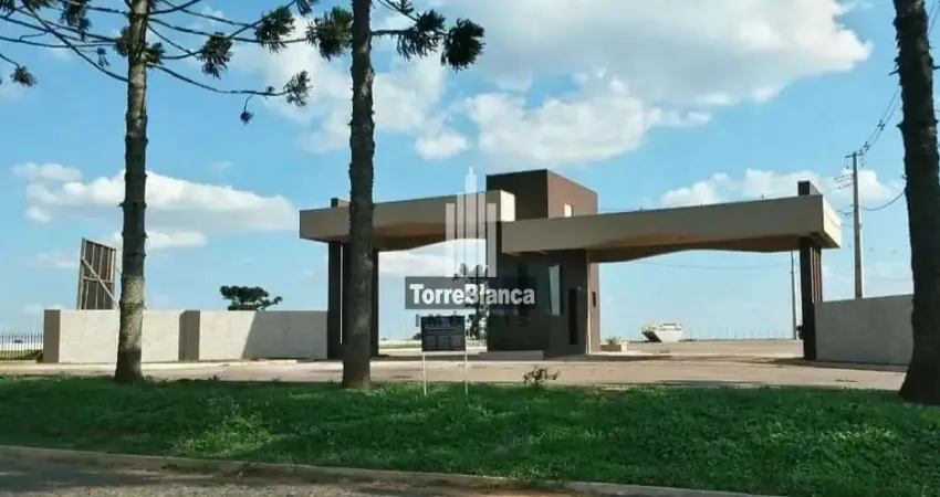 Terreno à venda na Avenida dos Pioneiros, Centro, Carambeí
